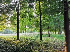 -贵阳市花溪国家城市湿地公园