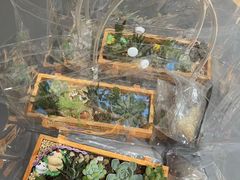 -Sony Store索尼(广州正佳店)