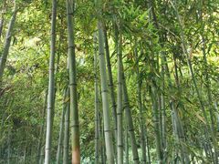 -杭州黄龙洞