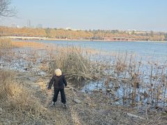 -长春市南湖公园