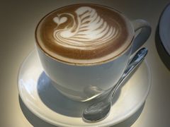 -BLACKSWAN黑天鹅(环球店)