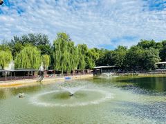 -尚庄度假村·庭台树下·户外烧烤·团建CS·轰趴营地(上庄水库店)