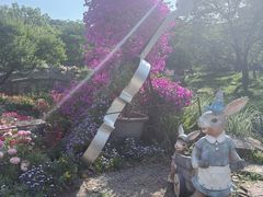 -苏州上方山国家森林公园