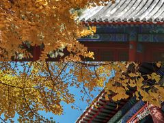 -大钟寺古钟博物馆