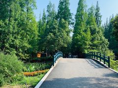 -东平国家森林公园