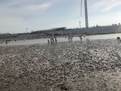 -启东黄金海滩景区