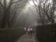 -普陀山风景区-佛顶山