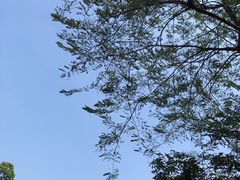 -瑶湖郊野森林公园