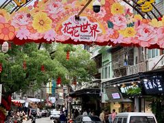 -溪岸路花鸟市场