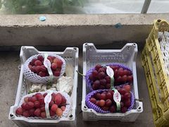 -马陆小张葡萄园农家乐