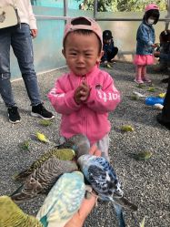 -萌宠亲子动物乐园(槐房万达店)