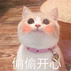 -热发型