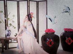 贪欢-九月鹰飞汉服摄影工作室