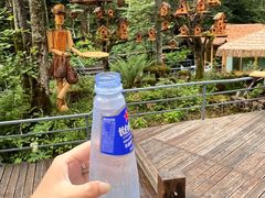 -峡谷浮石林景区