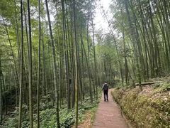 -蜀南竹海景区
