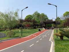 -八大山人梅湖景区