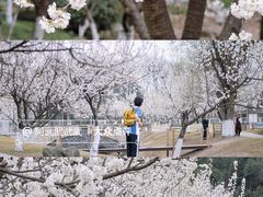 -国际非物质文化遗产博览园