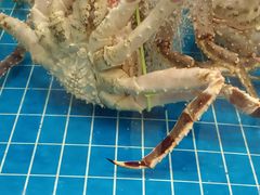 -新丁香海鲜酒店(银海商贸城店)