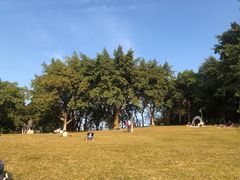 -广州雕塑公园