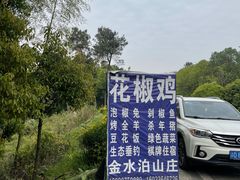 -金水泊山庄·花椒鸡(铁山坪店)