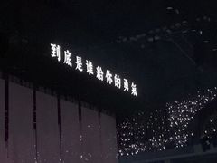 -华润深圳湾体育中心-“春茧” 体育馆