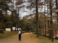 -四明山国家森林公园