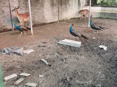 -八景休閒山莊  廣東十大名山莊