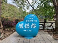 -西双版纳原始森林公园
