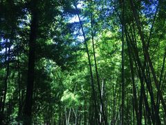 -磐安舞龙峡景区