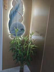 -金美秀养生瘦身