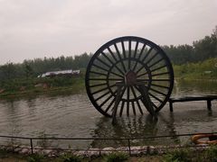 -合肥滨湖国家森林公园