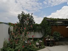 -翠田Green Field Kitchen