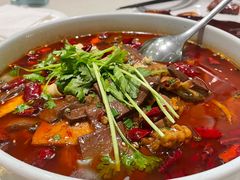 -蝶园·装修中(BFC外滩金融中心店)