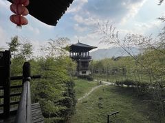 -大唐贡茶院