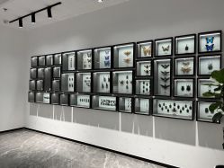 -酷嗒动物文化乐园(cutezoo西溪乐天城店)