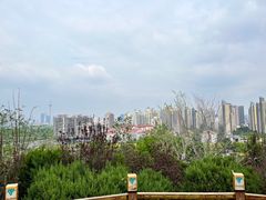 -南翠屏公园