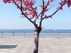 -大连海昌东方水城