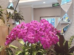 -鹿港小镇(黄金店)