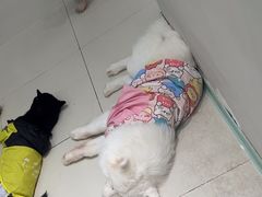 -怪兽屋·羊驼·猫咖·狗咖(俊华广场店)