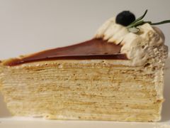 伯爵千层-叶太YETAI(良库店)