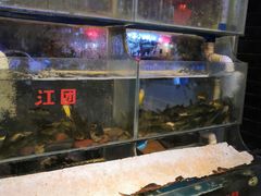 水产区-长生鱼·鲜鱼房(U城店)