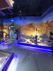 -未来动物城动物主题公园(大悦城店)