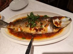 -大荣华酒楼(元朗老店)