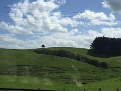 -怀托摩萤火虫洞