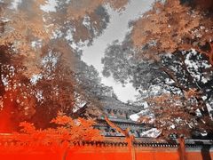 -北京国子监胡同