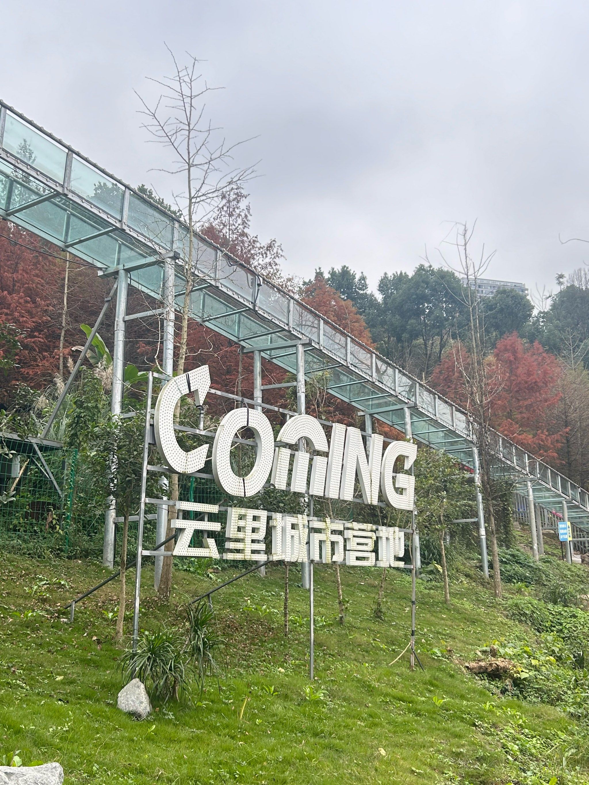 围炉煮茶才是生活里的解药