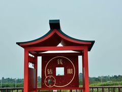 -空港花田景区
