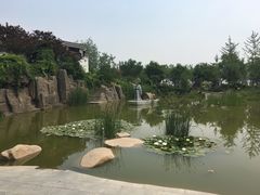 -武清南湖绿博园