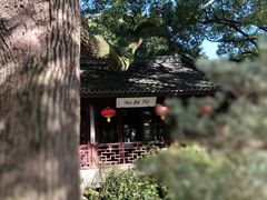 -上海醉白池公园