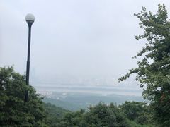 -茶颜悦色(岳麓山顶店)